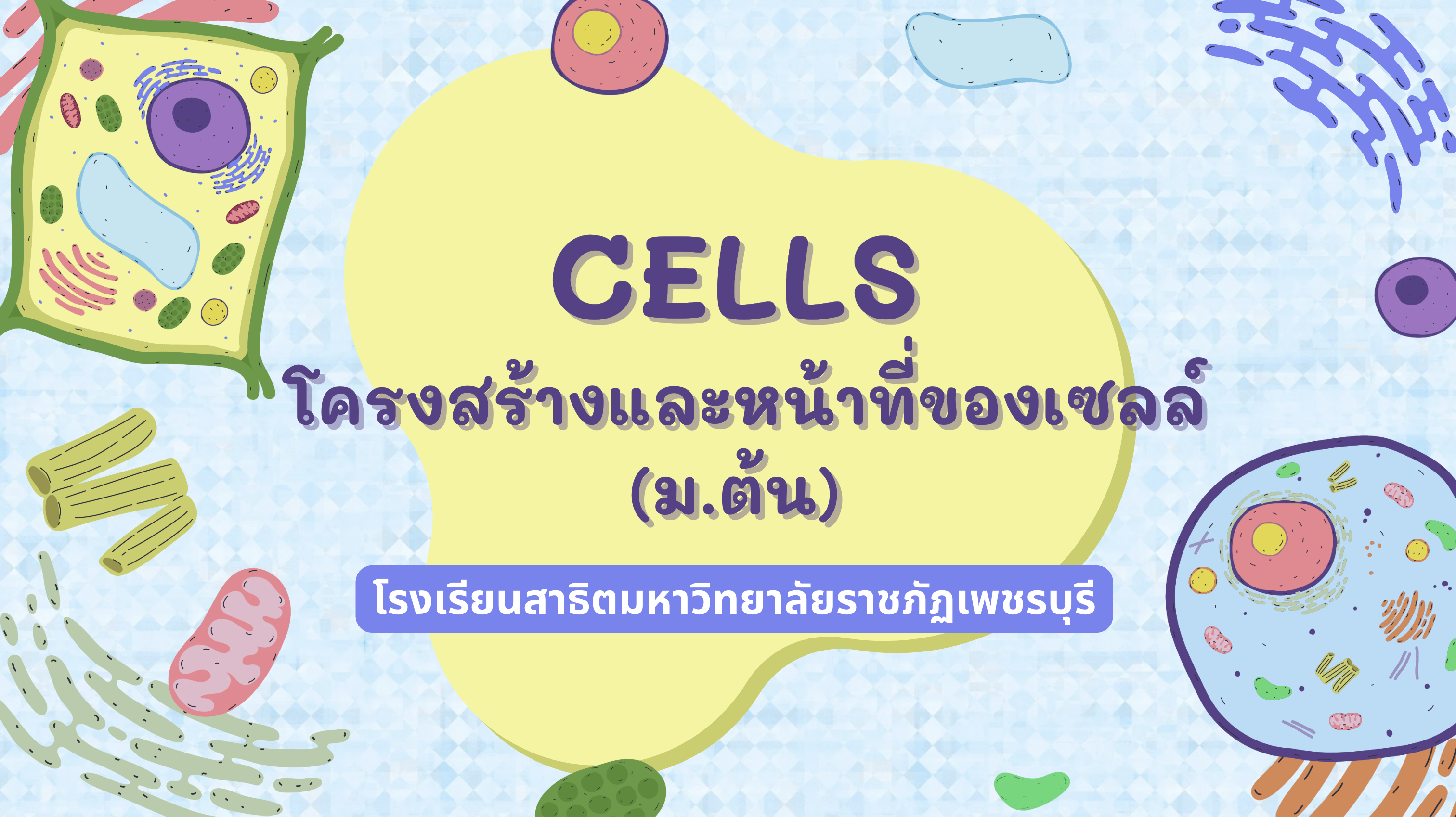 Images Couse Mooc Learn